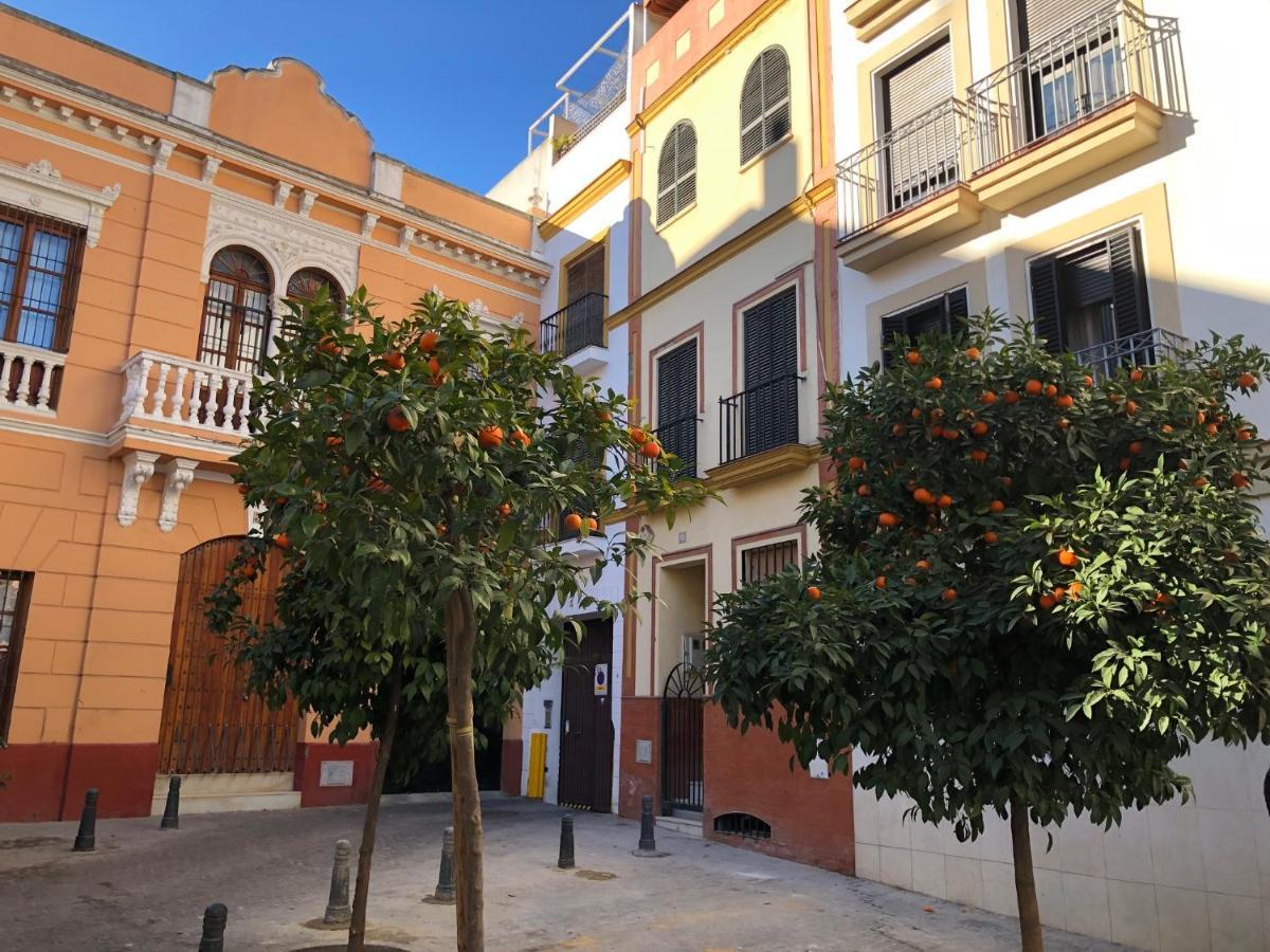 Unique House - Private Spa&Pool -StayinSevilla Dış mekan fotoğraf
